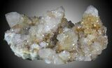 Cactus Quartz (Amethyst) Cluster - South Africa #33907-2
